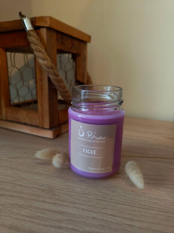 IMG_20260916_175731825 figue Bougie violette senteur Figue de la marque Ôpic
