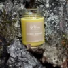 Bougie jaune senteur Citron Meringué de la marque Ôpic devant un tronc d'arbre