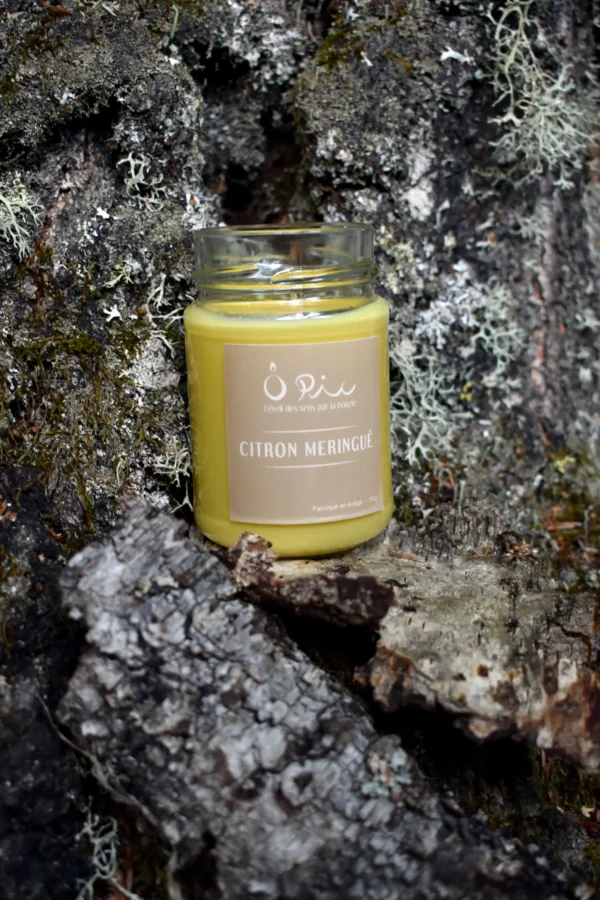 Bougie jaune senteur Citron Meringué de la marque Ôpic devant un tronc d'arbre