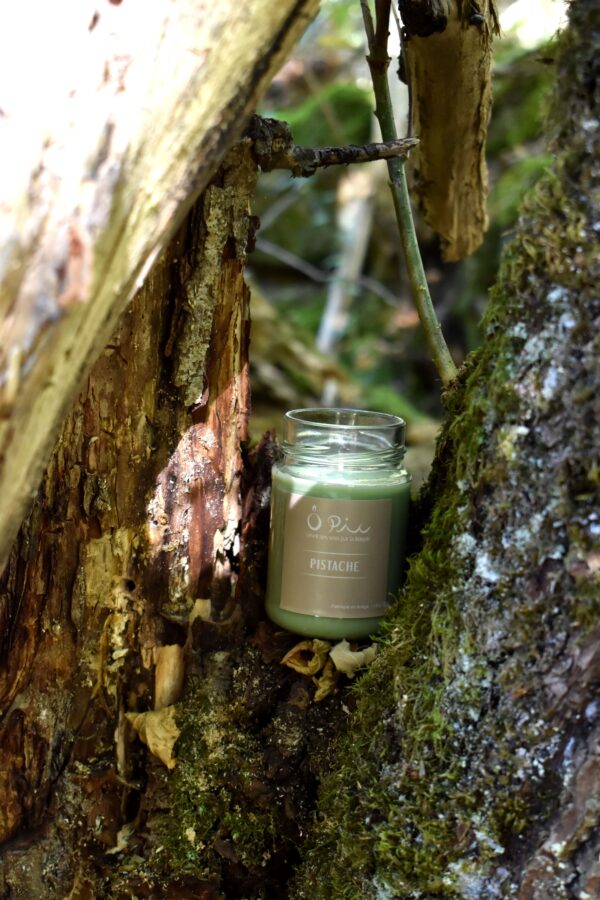 Bougie verte senteur Pistache de la marque Ôpic sur une branche d'arbre